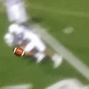 Meet your Posher, Jake